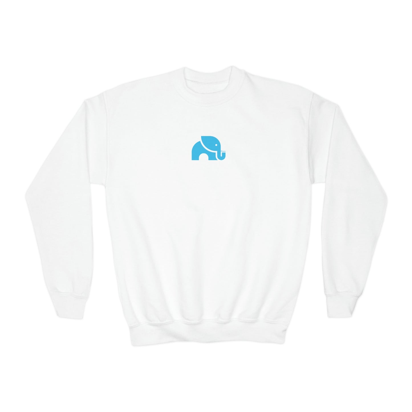 Youth Crewneck Sweatshirt