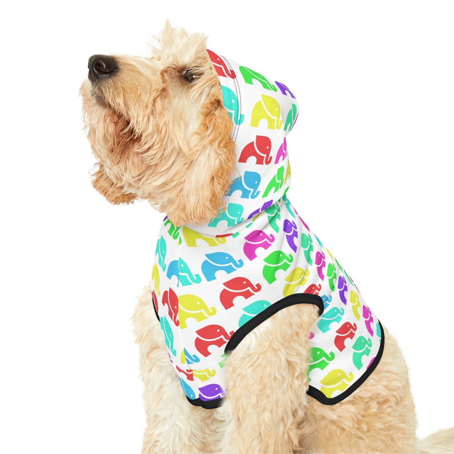 Dog Hoodie